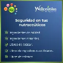 Wellceutika  4 png.webp