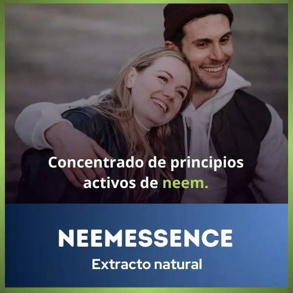 Neem 3.webp