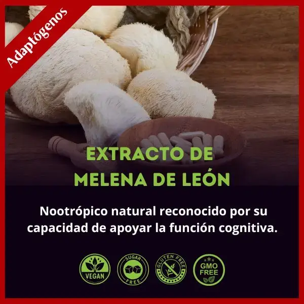 Melena de león 2.webp