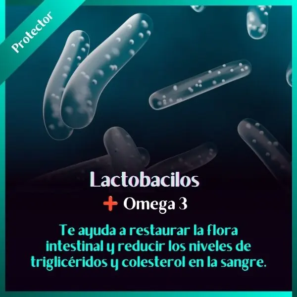 LactoOmega 3.webp