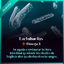 LactoOmega 3.webp