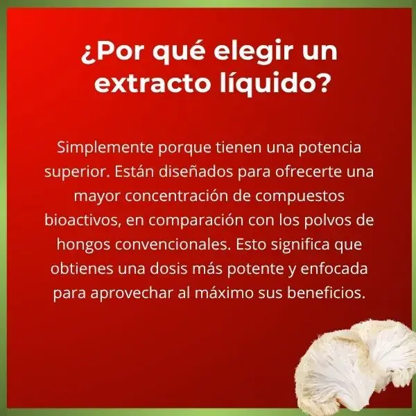 Melena de león 5.webp