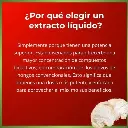 Melena de león 5.webp