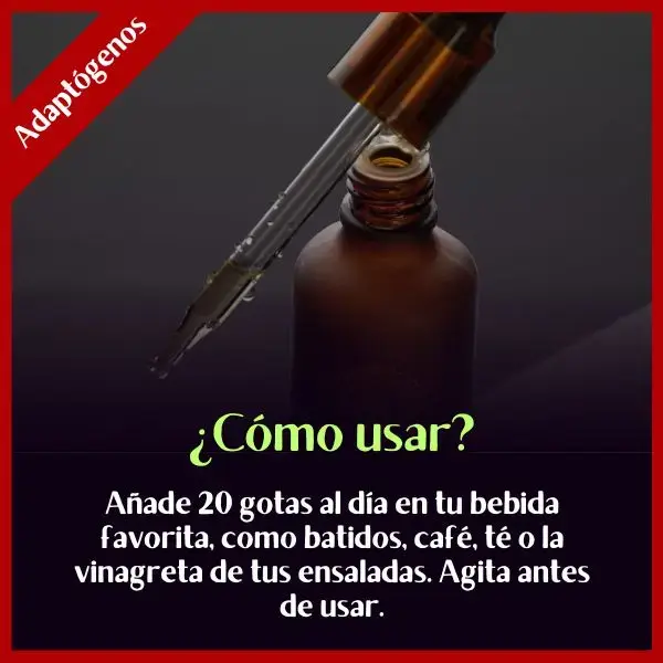 Melena de león 44.webp