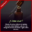 Melena de león 44.webp