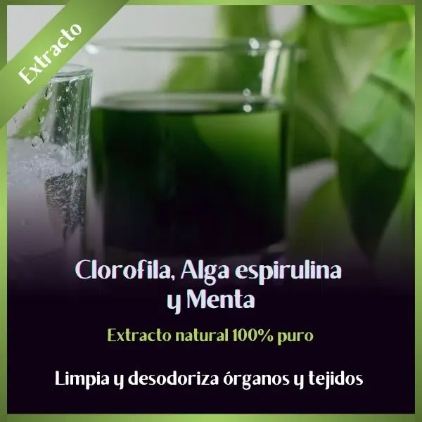 Clorofila 2323.webp
