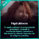 Hydrabloom 2.webp