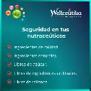 Welceutika 1 png.webp