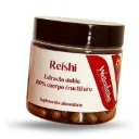 Hongo Reishi Extracto Adaptógeno Alta Concentración Sin GMO 90 caps
