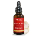 Melena de León Adaptógeno | Función cognitiva | 30 ml 